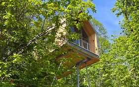 Ferienhaus Baumwipfelhaus
